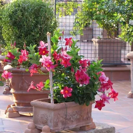 Agriturismo Colombaiolo *