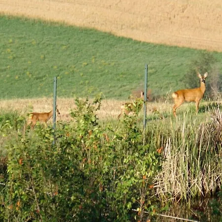Agriturismo Colombaiolo