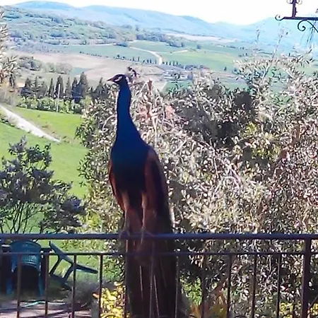 Farmház Colombaiolo Pienza