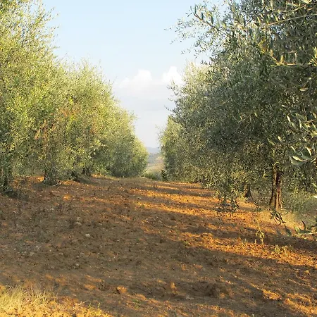 Colombaiolo Pienza