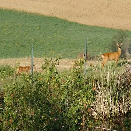 Séjour à la ferme Colombaiolo
